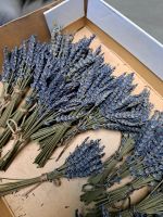 Lavendelsträußchen für Seife Trockenblumen Lavendel Thüringen - Mühlhausen Vorschau