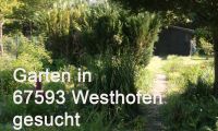 Garten Westhofen  Schrebergarten  Pachtgarten  Freizeitgrundstück Rheinland-Pfalz - Gau-Bischofsheim Vorschau