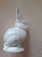 Porzellan Hase Rosenthal Bavaria Nordrhein-Westfalen - Langenfeld Vorschau