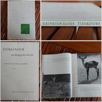 Antik Buch 1964 Tierkinder Dathe Tierpark Berlin Zoo DDR Sachsen - Auerbach (Vogtland) Vorschau