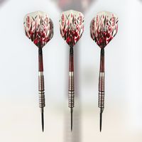 HARROWS DAMON HETA STEEL-DARTS Bayern - Kissing Vorschau