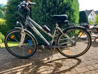 Damen Fahrrad 28" Bayern - Simmelsdorf Vorschau