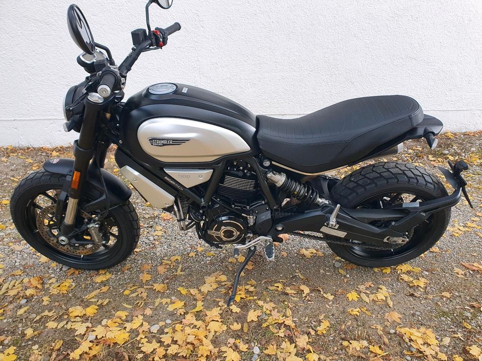 Ducati Scrambler 1100 pro in Hohenschäftlarn