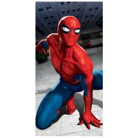 Duschtuch Spiderman Badetuch Strandtuch Velourstuch 70 x 140cm Nordrhein-Westfalen - Emmerich am Rhein Vorschau