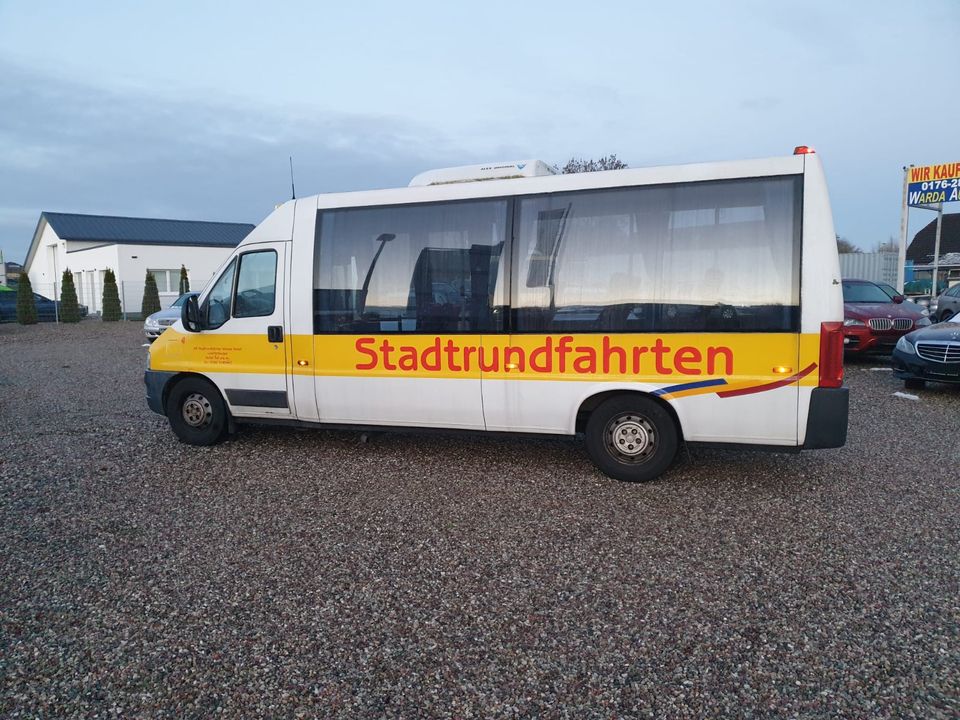 Peugeot 244 Kleinbus  Ernst Auwerter Bus 12 Sitze Tüv 4/2023 in Gägelow