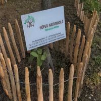 Staketenzaun Kastanienholz 50 cm hoch | Naturzaun Bayern - Bad Bocklet Vorschau