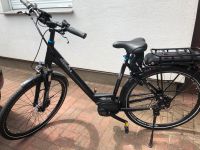 E Bike Strong von Pegasus 28er Schleswig-Holstein - Langwedel Vorschau