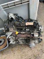 1.5 cdti Ford Motor. Sachsen-Anhalt - Kalbe (Milde) Vorschau