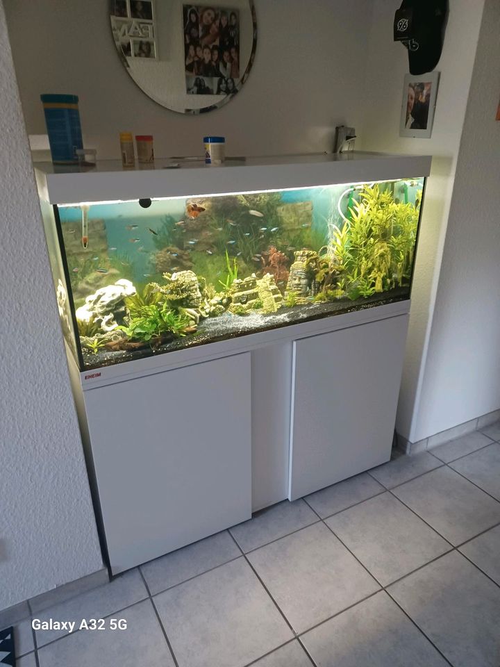Eheim 240 l Aquarium in Lehrte