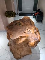 Olivenholz Skulptur Mammut Hessen - Elz Vorschau