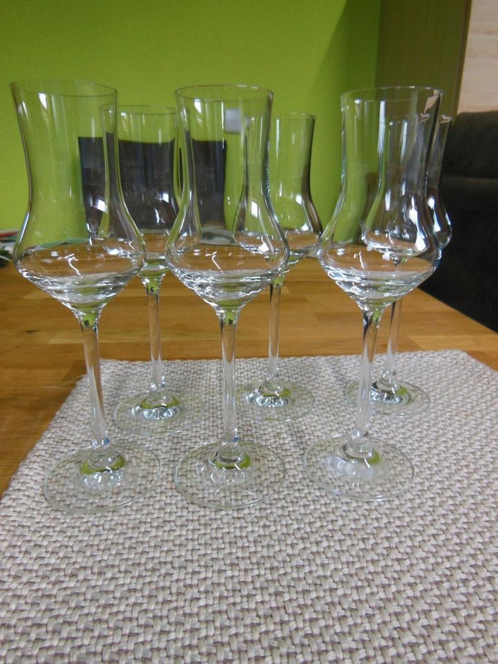 6 Grappa-Gläser, Schott Zwiesel,neuwertig,17,5 cm hoch in Neuenbürg