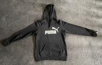 Puma Pullover Niedersachsen - Stade Vorschau