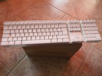 Apple Wireless Keyboard & Apple Wireless Mouse Schleswig-Holstein - Rickling Vorschau