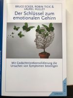 Der Schlüssel zum emotionalen Gehirn Baden-Württemberg - Bammental Vorschau
