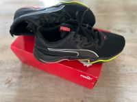 Puma Laufschuh, inkl. Versand, Sportschuh, 41 Sachsen - Falkenstein/Vogtland Vorschau