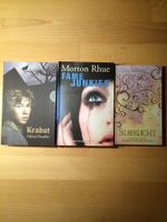 Fantasy Romane Bücher 5 Bayern - Auerbach Vorschau