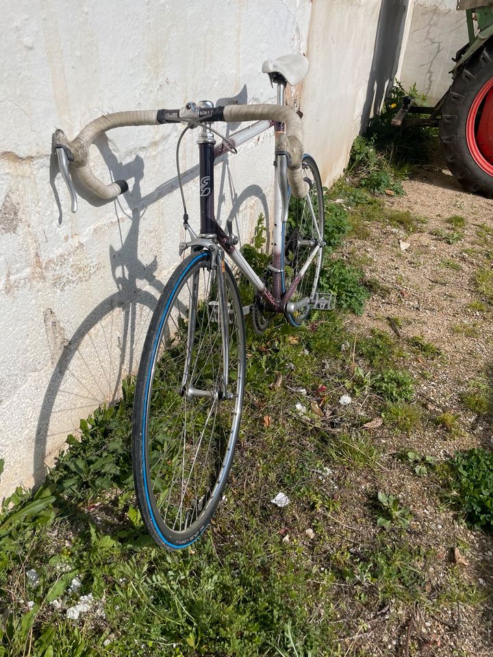 Enik Iseran Vintage Rennrad 28" in Thalmässing