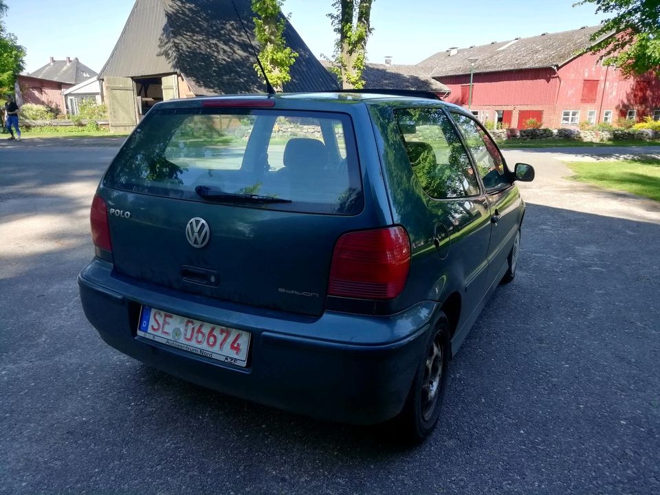 VW Polo 6N 1.0/ Schiebedach / mit TÜV in Leezen