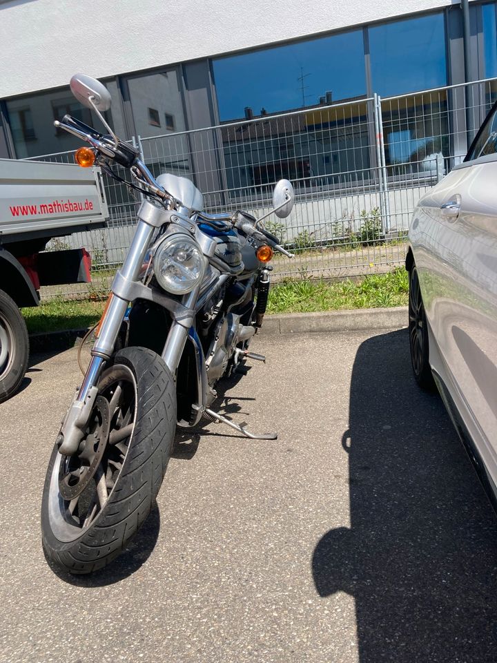 Harley Davidson VRSCR Street Rod V Rod in Friedrichshafen