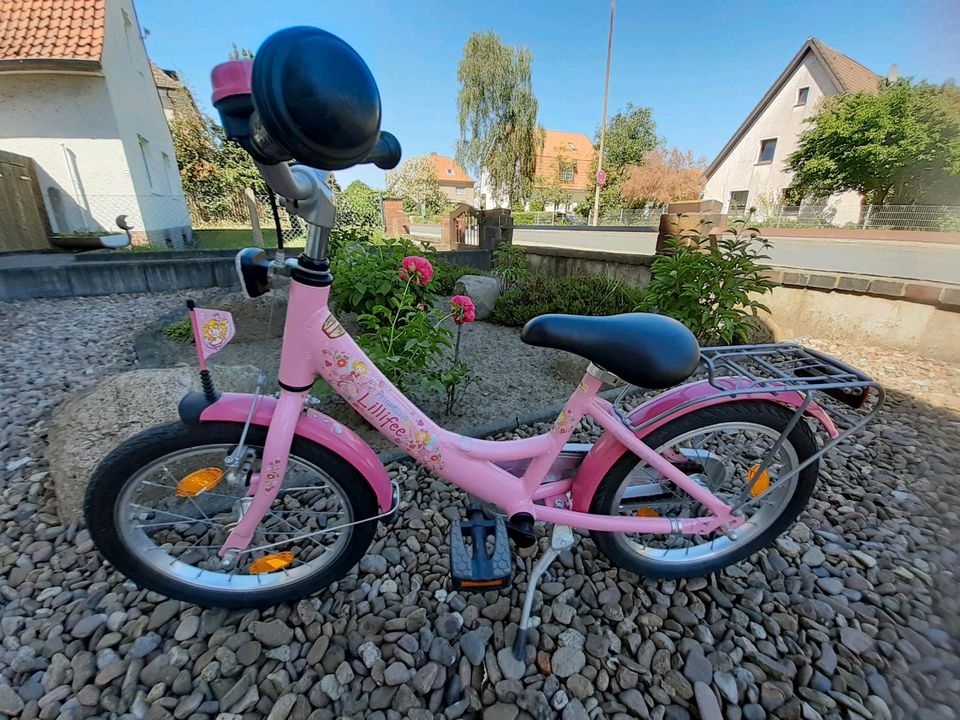 Puky Kinderfahrad 16 Zoll ALU  Lillifee in Burgdorf