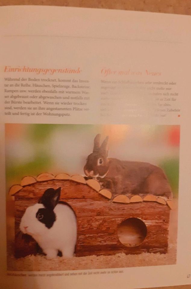 Tierbücher zum Tausch gegen was Süßes zum Naschen in Eurasburg