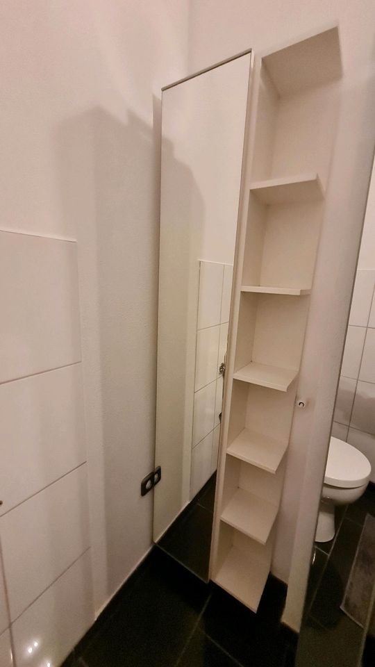 Badezimmerschrank in Castrop-Rauxel