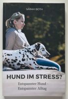 Hund im Stress? - Entspannter Hund - Entspannter Alltag Brandenburg - Bernau Vorschau