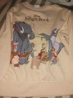 pullover disney Berlin - Hellersdorf Vorschau