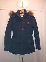 Parka Hollister Größe L Nordrhein-Westfalen - Hürth Vorschau