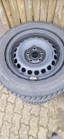 M+S Reifen Falken mit Felgen 195/65R15  auf 5x112 VW/Skoda/Audi Sachsen-Anhalt - Loburg Vorschau