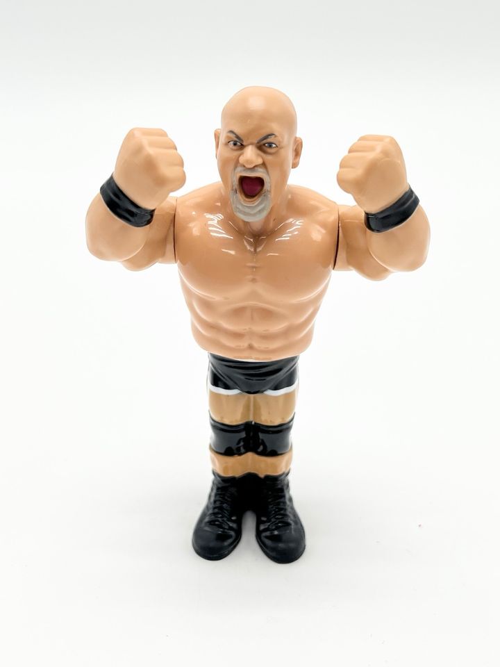 WWF/WWE Mattel/Hasbro Wrestling Figur Goldberg 2017 in Filderstadt