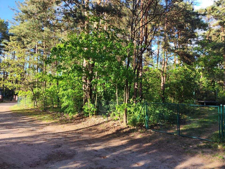 Idyllisches und ruhig gelegenes Eckgrundstück.  Der Platz für ihr Traumhaus! in Borkheide