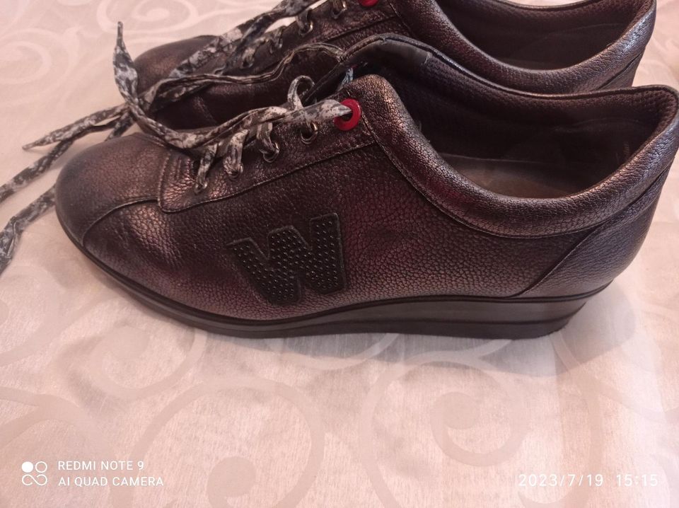 Damen Schuhe Größe 41/42/8 Lloyd Paul Green Schuhengel Melluso in  Baden-Württemberg - Langenau | eBay Kleinanzeigen ist jetzt Kleinanzeigen