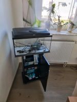 60 Liter Aquarium mit Zubehör Hessen - Fuldatal Vorschau