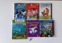 Kinderbücher Leserabe Leselöwen Lesepiraren Bildermaus Erstleseb Schleswig-Holstein - Altenholz Vorschau