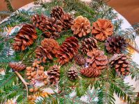 Tannenzapfen mit Draht, Weihnachtsschmuck Hessen - Höchst im Odenwald Vorschau