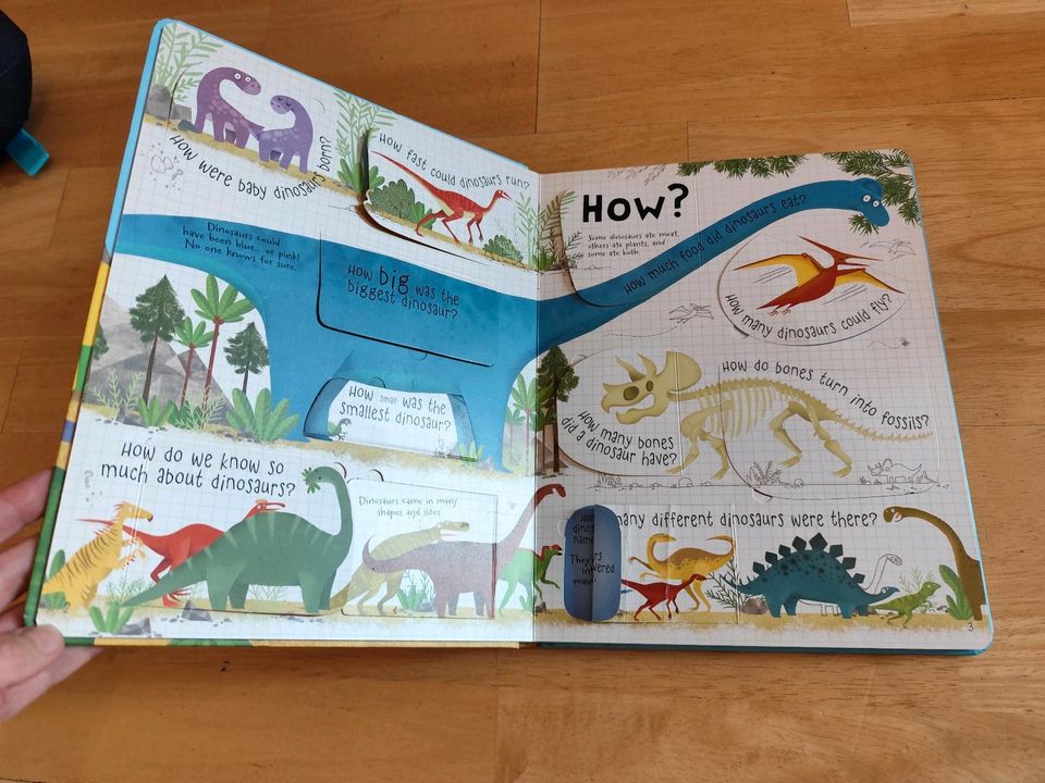 Ushborne Lift the flap Book about Dinosaurs in Berlin