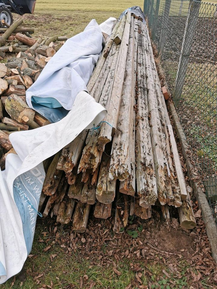 Holzbalken Balken bis 10m lang in Naumburg (Saale)