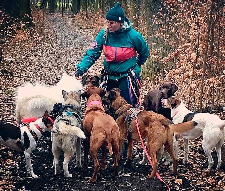 Gassiservice Leipzig mobile Hundebetreuung Dogwalker in Leipzig