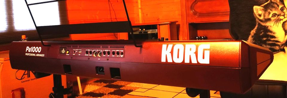 Korg PA1000 Keyboard Professional in Waldesch