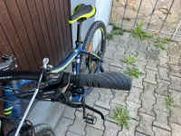 Centurio Damen Mountainbike Bayern - Mindelheim Vorschau
