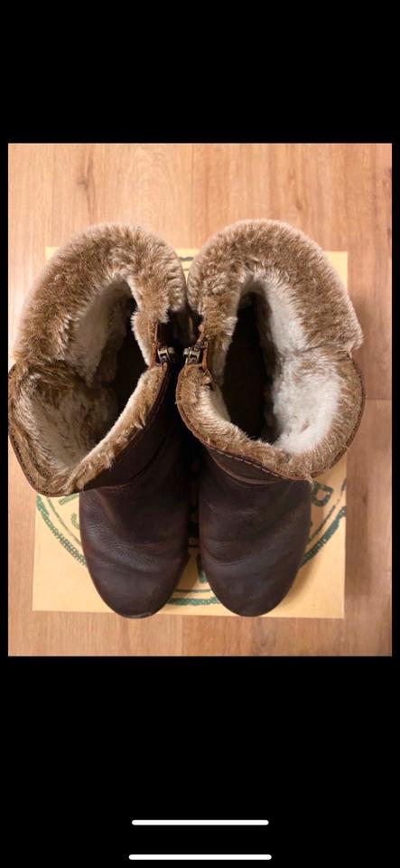 Panama Jack Stiefeletten Winterstiefel Galatea Boots Gr. 42 in Dötlingen