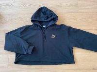 Puma Hoodie schwarz, Größe L (164) Thüringen - Erfurt Vorschau