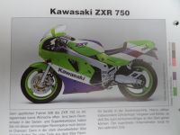 KAWASAKI Prospekt / Broschüre Modelle von 1990 Baden-Württemberg - Kupferzell Vorschau