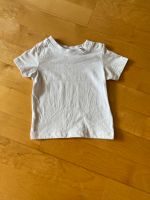 Tshirt Gr. 62 weiß neu Brandenburg - Neustadt (Dosse) Vorschau