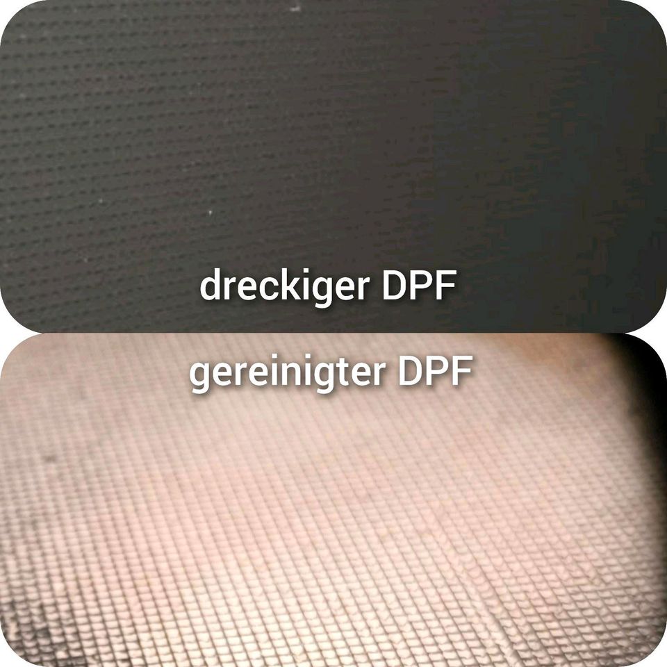 VW / AUDI / SEAT DPF - KAT Reinigung Partikelfilter Abgasfilter in Damme