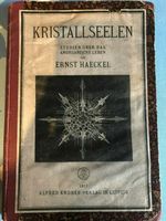 Kristallseelen. Studien über das anorganische leben Baden-Württemberg - Uhldingen-Mühlhofen Vorschau