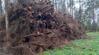Wir kaufen Holz, Gipfelholz, Landschaftspflegematerial, Stammholz Bayern - Neuhaus a.d. Pegnitz Vorschau