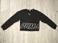 Puma Sweatshirt, Pulli, schwarz, Gr. 140 / 146, wie neu Niedersachsen - Wunstorf Vorschau