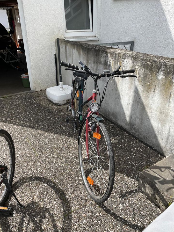 Damen Fahrrad mit Gepäckträger in Sinsheim